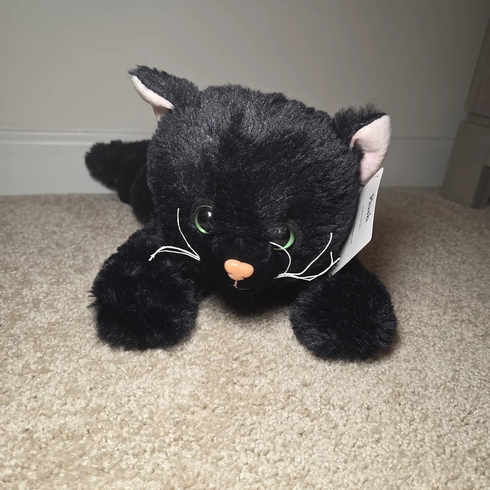 Plush Black Cat Toy